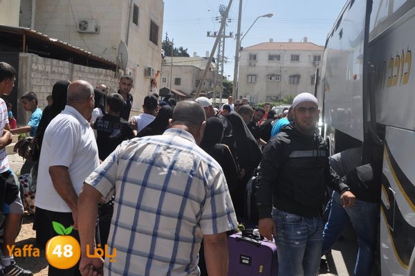 new3moraludback1 (10).JPG